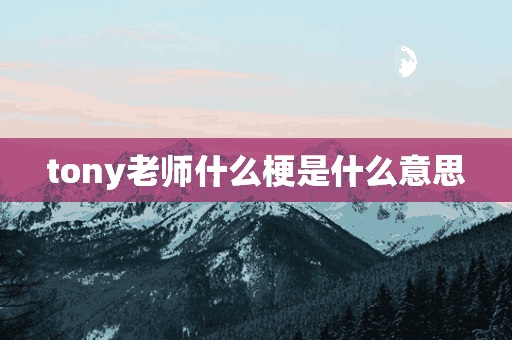 tony老师什么梗是什么意思